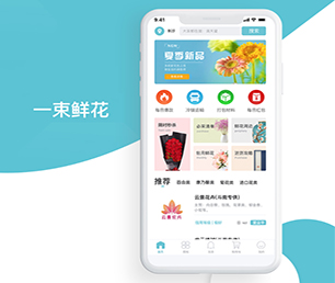 南充APP软件定制开发基础电商系统打造完美的产品，成就卓越的业绩。【数字化转型首选，特价抢购】